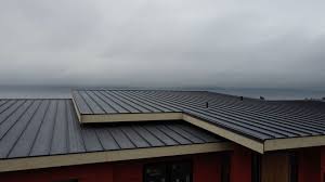 Best Steel Roofing  in Homer City, PA